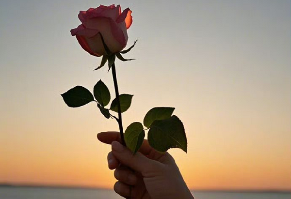 抓出轨要怎么取证